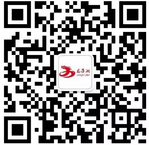 政务微信