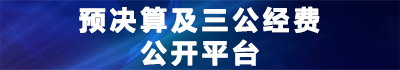 预决算和三公经费公开平台